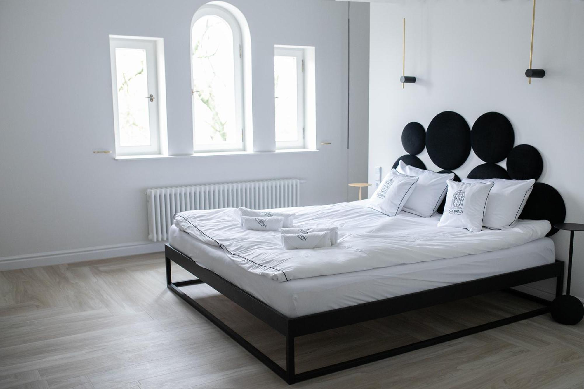 Srebrna Luxury - Fabrykancka - Wnetrza Premium Apartment Lodz (Lodz)