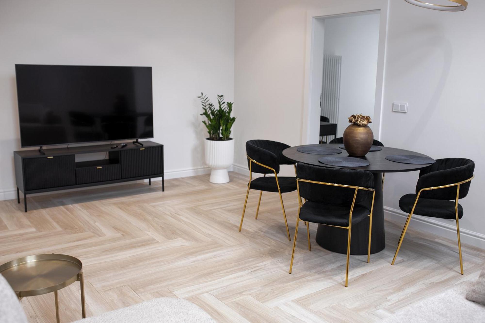 Apartment Srebrna Luxury - Fabrykancka - Wnetrza Premium Lodz (Lodz)